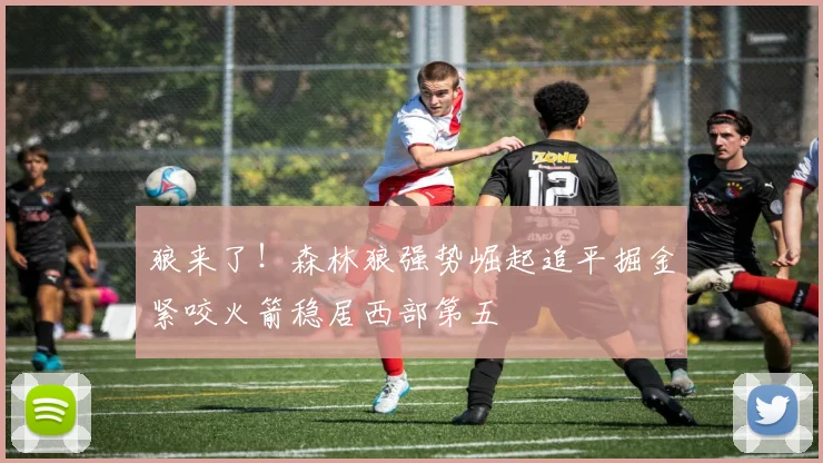 狼来了！森林狼强势崛起追平掘金紧咬火箭稳居西部第五