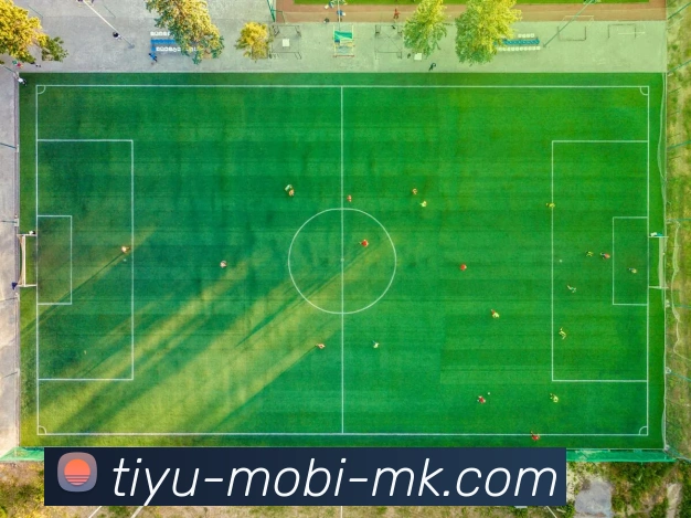 电竞数据